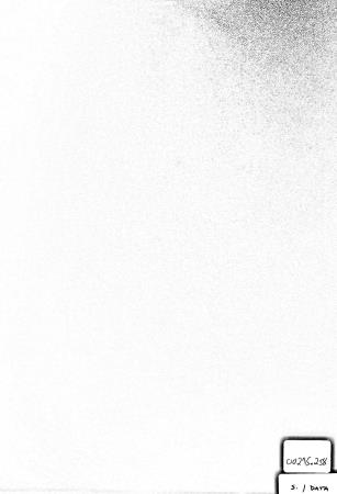 <b>Pequenos Comerciantes</b>