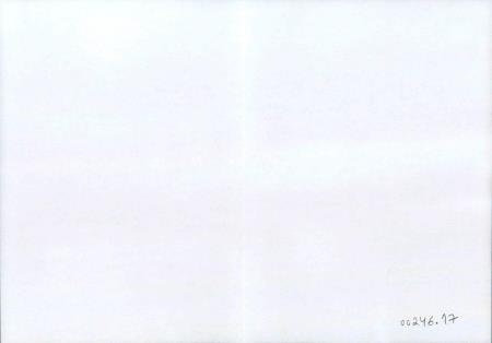 <b>Org�os do Movimento</b>